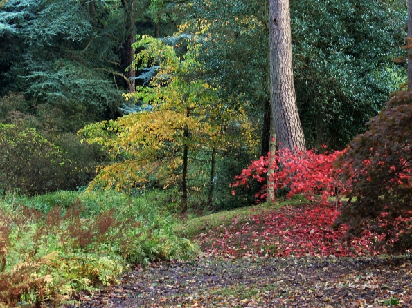 Bois des moutiers fall 2012 (41)